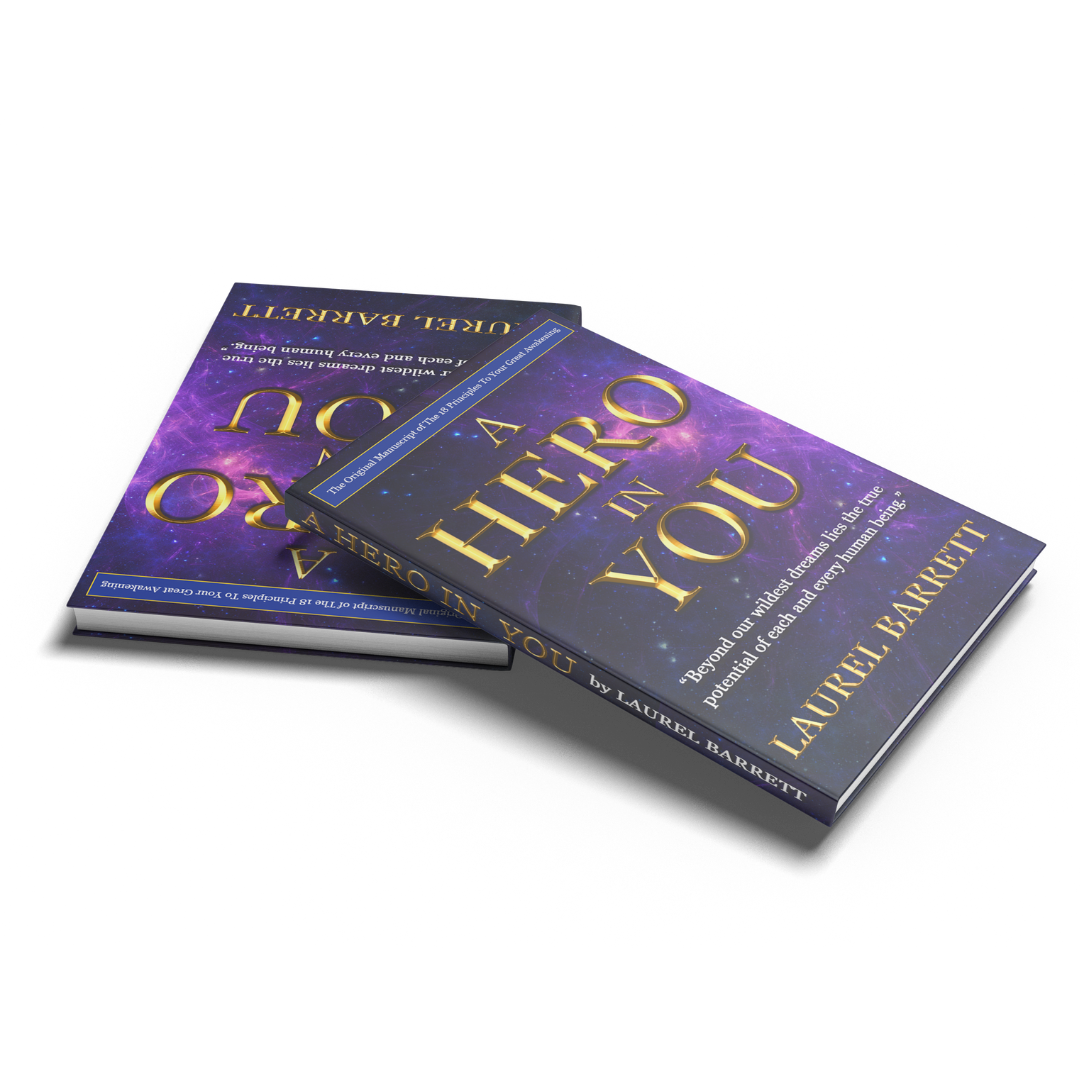 A Hero In You Book by Laurel Barrett